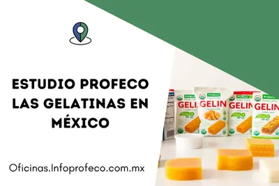 Profeco Gelatinas Tu Guía Definitiva Antes de Comprar