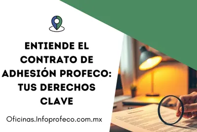 Entiende El Contrato De Adhesión Profeco Tus Derechos Clave